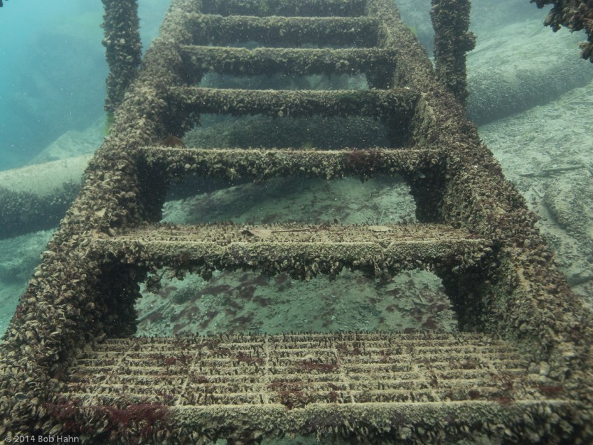 Olympus OM-D/E-M1, PPO-E04 Lens Port, PT-EP08 Housing, Olympus M.12-40mm Lens at 12mm