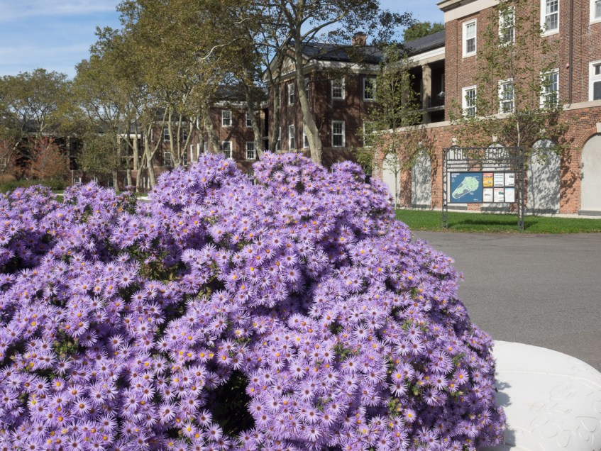 Liggett Terrace, Governors Island, NY, © 2016 Bob Hahn, Olympus OM-D/E-M1 OLYMPUS M.12-40mm F2.8 at 21 mm, ISO 200 Exposure: 1/125@f/14