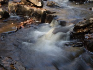 Waterfalls, Glens Natural Area, Ricketts Glen State Park, PA, United States, © 2017 Bob Hahn