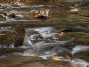 Waterfalls, Glens Natural Area, Ricketts Glen State Park, PA, United States, © 2017 Bob Hahn