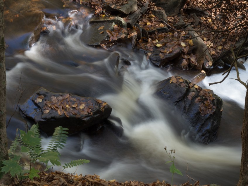 Waterfalls, Glens Natural Area, Ricketts Glen State Park, PA, United States, © 2017 Bob Hahn
