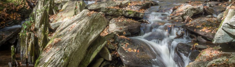 Waterfalls, Glens Natural Area, Ricketts Glen State Park, PA, United States, © 2017 Bob Hahn