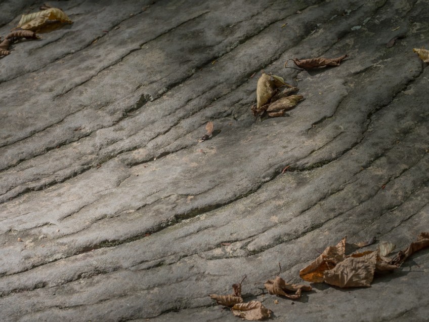 Rocks, Glens Natural Area, Ricketts Glen State Park, PA, United States, © 2017 Bob Hahn