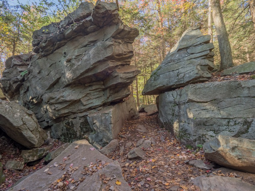 Midway Crevasse, Glens Natural Area, Ricketts Glen State Park, PA, United States, © 2017 Bob Hahn