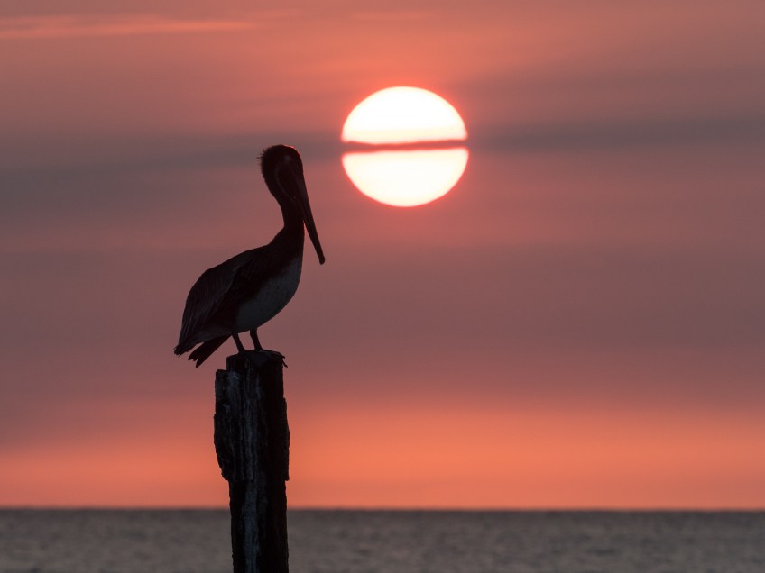 #BobHahnPhoto #GetOlympus #Aruba #Sunset #Beach #Nature #Oranjestad #Caribbean #DruffBeach