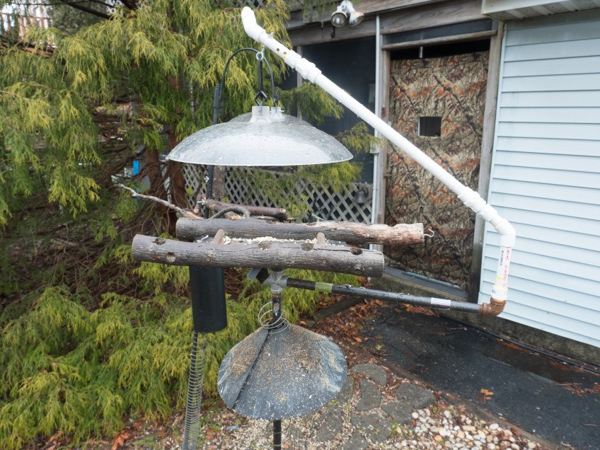 #BirdsFeedr#BobHahnPhoto #GetOlympus #Bethlehem #PA