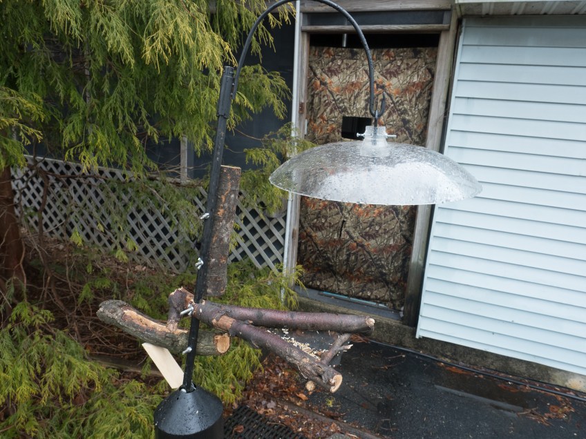 #BirdsFeedr#BobHahnPhoto #GetOlympus #Bethlehem #PA