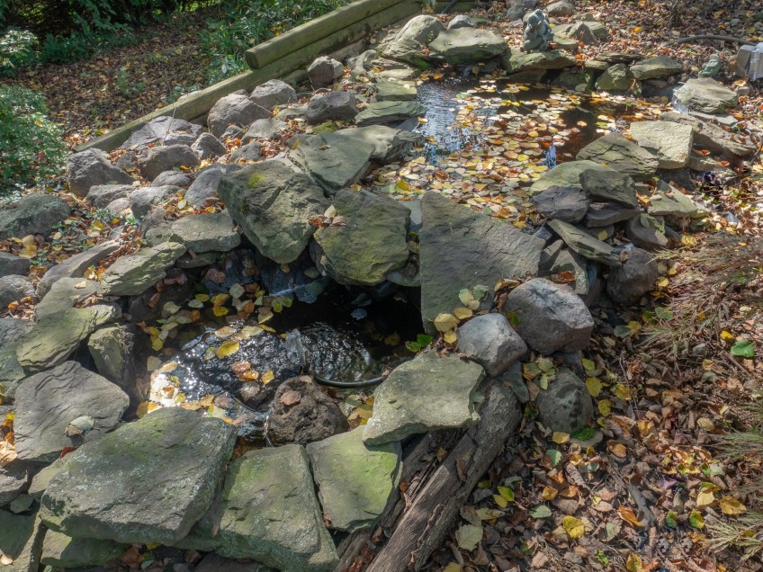 #BobHahnPhoto #GetOlympus #Bethlehem #PA #Pond #Nature #Animals