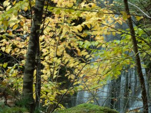 #BobHahnPhoto #GetOlympus #Nature #RaymondskillCreek #Waterfalls #DelawareWaterGapNationalRecreationArea