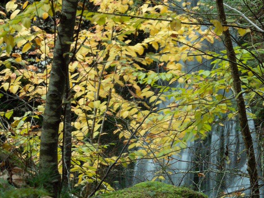 #BobHahnPhoto #GetOlympus #Nature #RaymondskillCreek #Waterfalls #DelawareWaterGapNationalRecreationArea