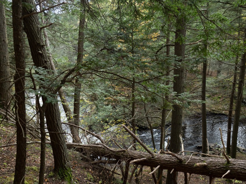 #BobHahnPhoto #GetOlympus #Nature #RaymondskillCreek #Waterfalls #DelawareWaterGapNationalRecreationArea