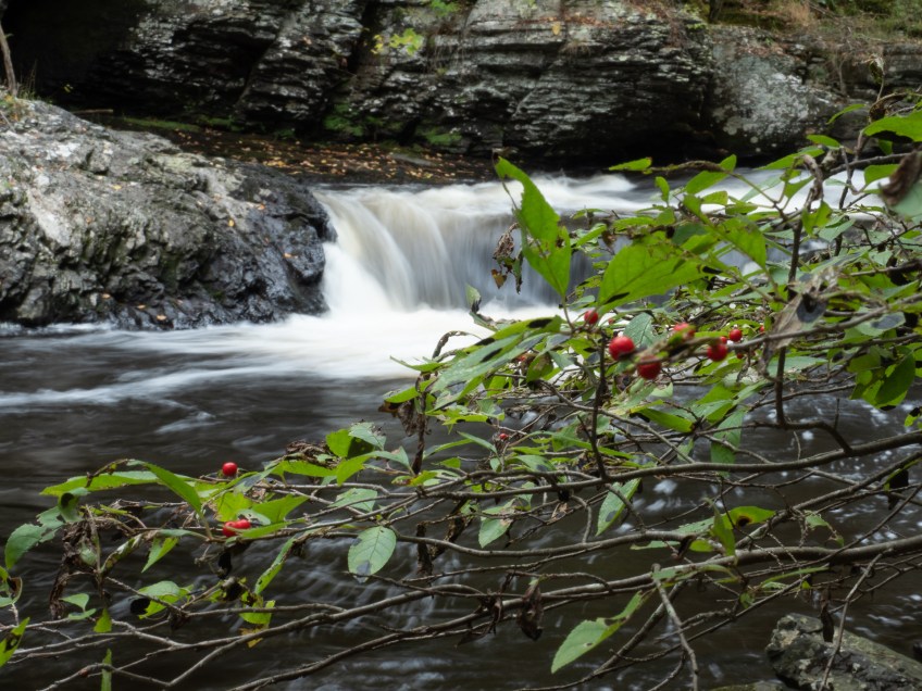 #BobHahnPhoto #GetOlympus #Nature #RaymondskillCreek #Waterfalls #DelawareWaterGapNationalRecreationArea