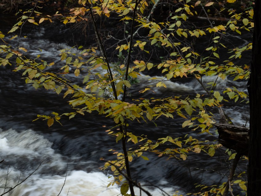 #BobHahnPhoto #GetOlympus #Nature #RaymondskillCreek #Waterfalls #DelawareWaterGapNationalRecreationArea