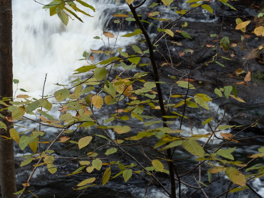 #BobHahnPhoto #GetOlympus #Nature #RaymondskillCreek #Waterfalls #DelawareWaterGapNationalRecreationArea