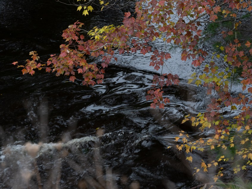 #BobHahnPhoto #GetOlympus #Nature #RaymondskillCreek #Waterfalls #DelawareWaterGapNationalRecreationArea