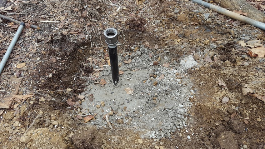 #BobHahnPhoto #GetOlympus #Bethlehem #PA #Birds #BirdFeeder #Nature #Animals