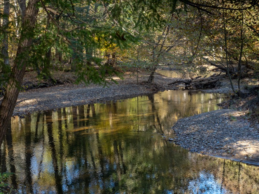 #BobHahnPhoto #GetOlympus #Nature #Nazareth #JacobsburgStatePark #FallFoliage #PA