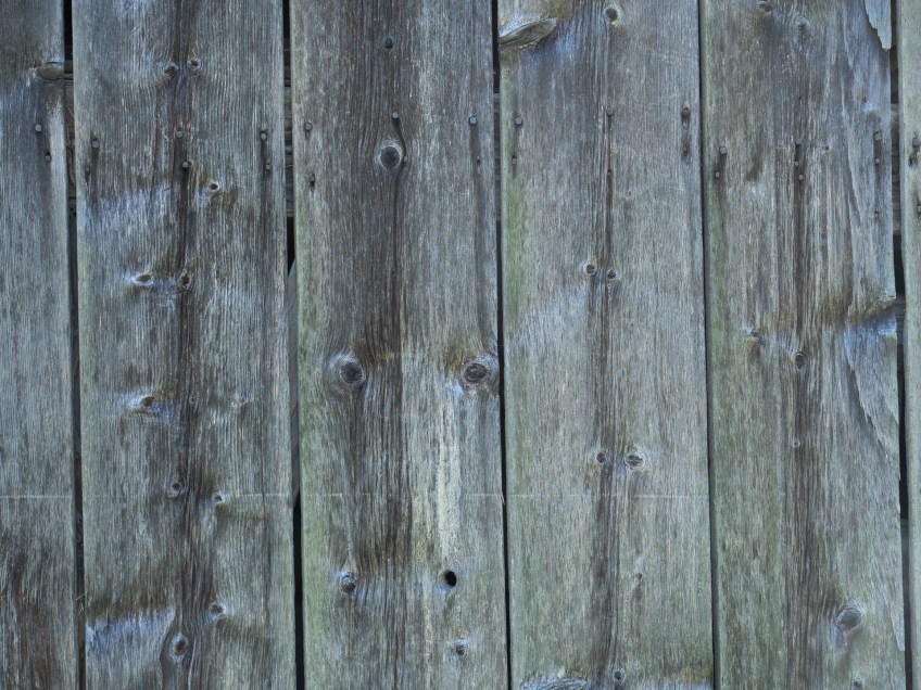 #BobHahnPhoto #GetOlympus #Nature #Nazareth #JacobsburgStatePark #FallFoliage #PA