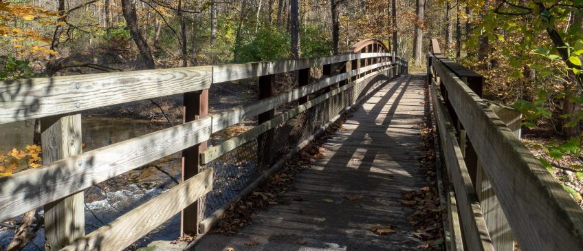 #BobHahnPhoto #GetOlympus #Nature #Nazareth #JacobsburgStatePark #FallFoliage #PA