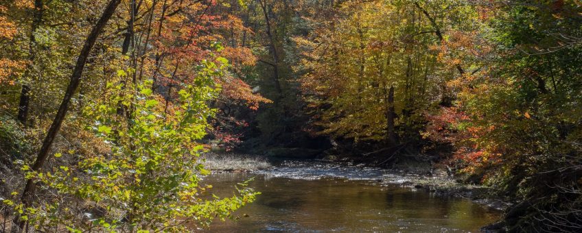 #BobHahnPhoto #GetOlympus #Nature #Nazareth #JacobsburgStatePark #FallFoliage #PA