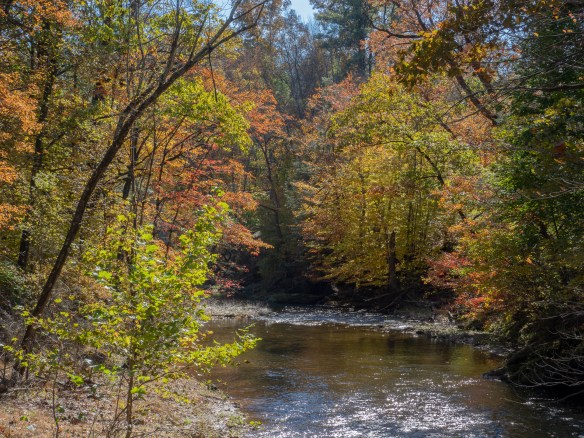 #BobHahnPhoto #GetOlympus #Nature #Nazareth #JacobsburgStatePark #FallFoliage #PA