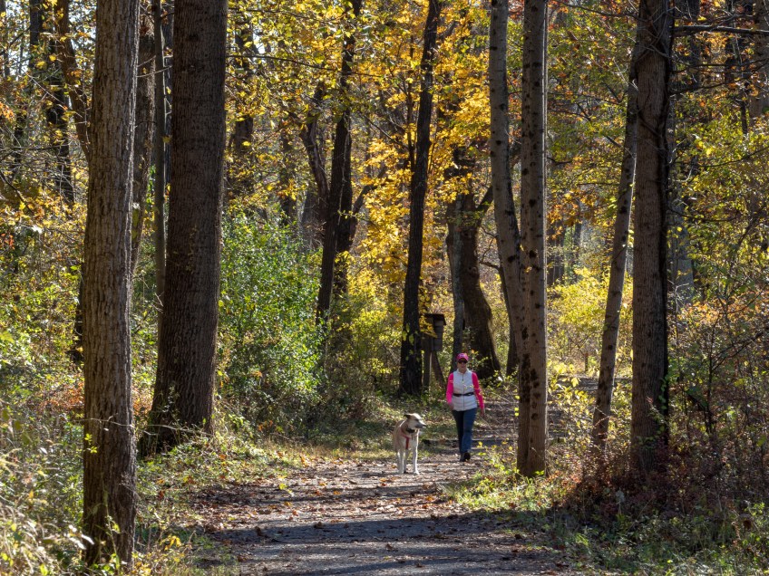 #BobHahnPhoto #GetOlympus #Nature #Nazareth #JacobsburgStatePark #FallFoliage #PA