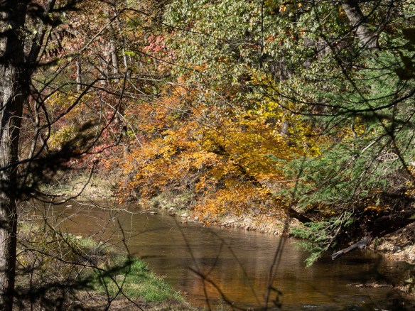 #BobHahnPhoto #GetOlympus #Nature #Nazareth #JacobsburgStatePark #FallFoliage #PA