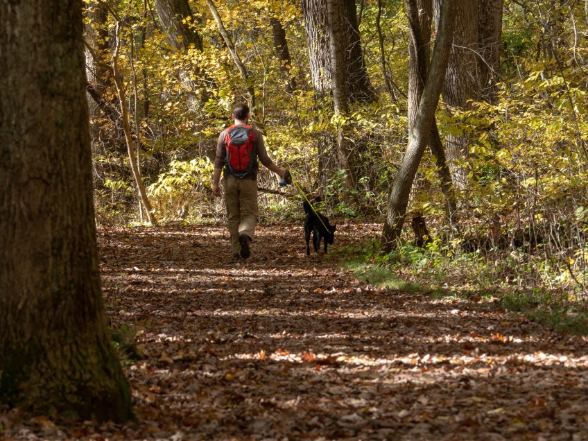 #BobHahnPhoto #GetOlympus #Nature #Nazareth #JacobsburgStatePark #FallFoliage #PA