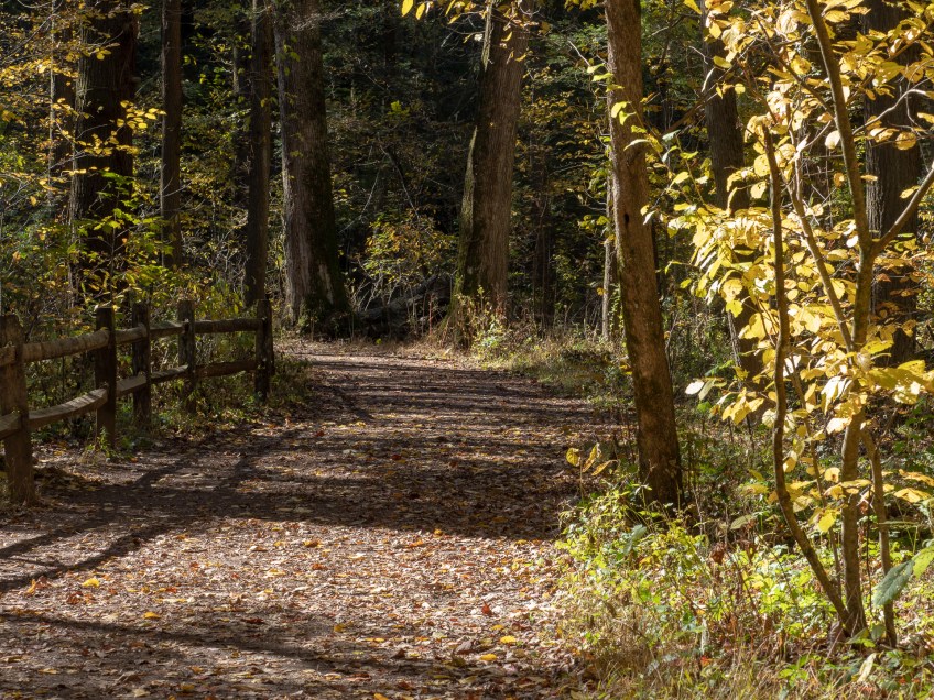 #BobHahnPhoto #GetOlympus #Nature #Nazareth #JacobsburgStatePark #FallFoliage #PA