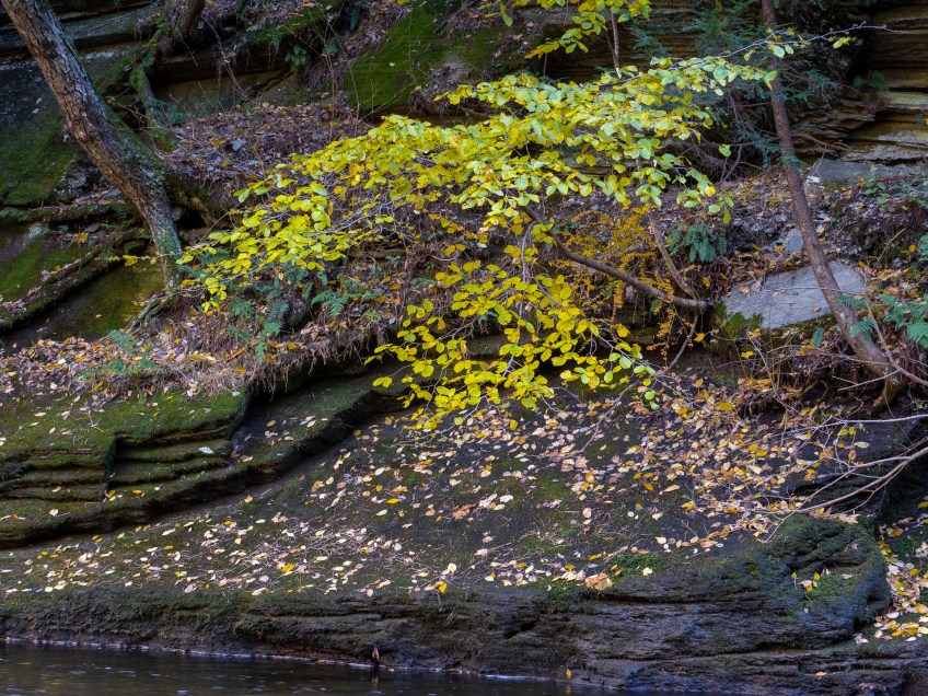 #BobHahnPhoto #GetOlympus #Nature #Nazareth #JacobsburgStatePark #FallFoliage #PA
