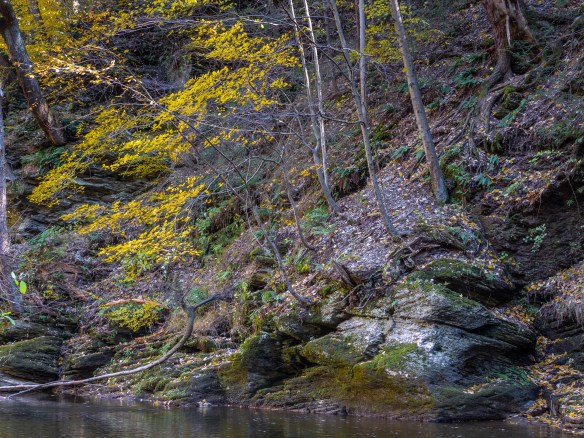 #BobHahnPhoto #GetOlympus #Nature #Nazareth #JacobsburgStatePark #FallFoliage #PA