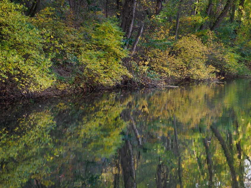 Fall Foliage Hugh Moore Park
