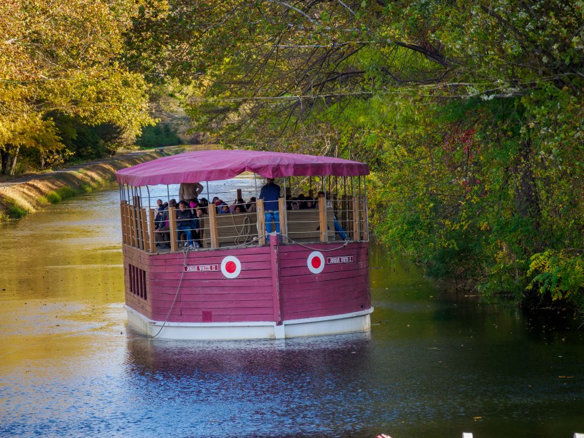 Fall Foliage Hugh Moore Park